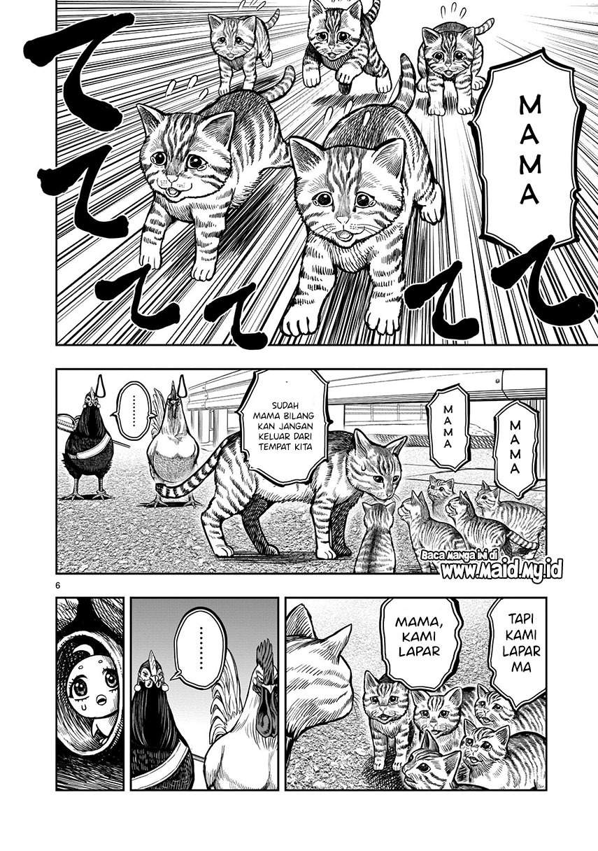 Rooster Fighter Bab 09 halaman 8