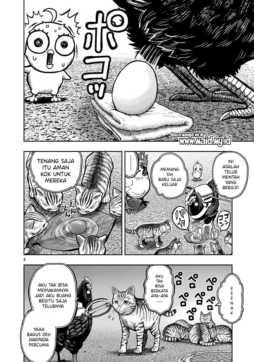 Rooster Fighter Bab 09 halaman 10