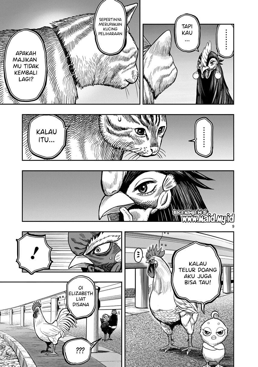 Rooster Fighter Bab 09 halaman 11