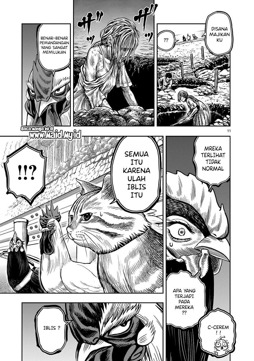 Rooster Fighter Bab 09 halaman 13