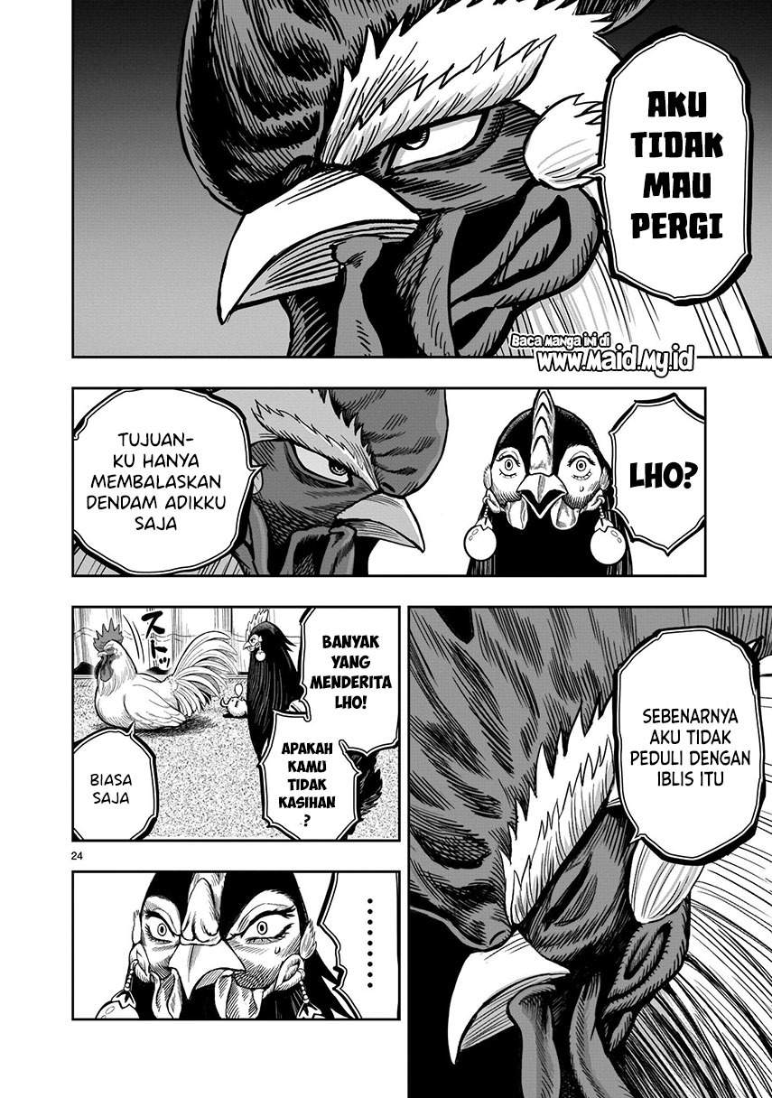 Rooster Fighter Bab 09 halaman 26