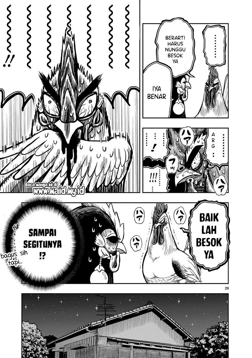Rooster Fighter Bab 09 halaman 31