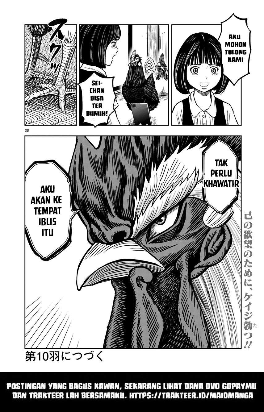 Rooster Fighter Bab 09 halaman 37