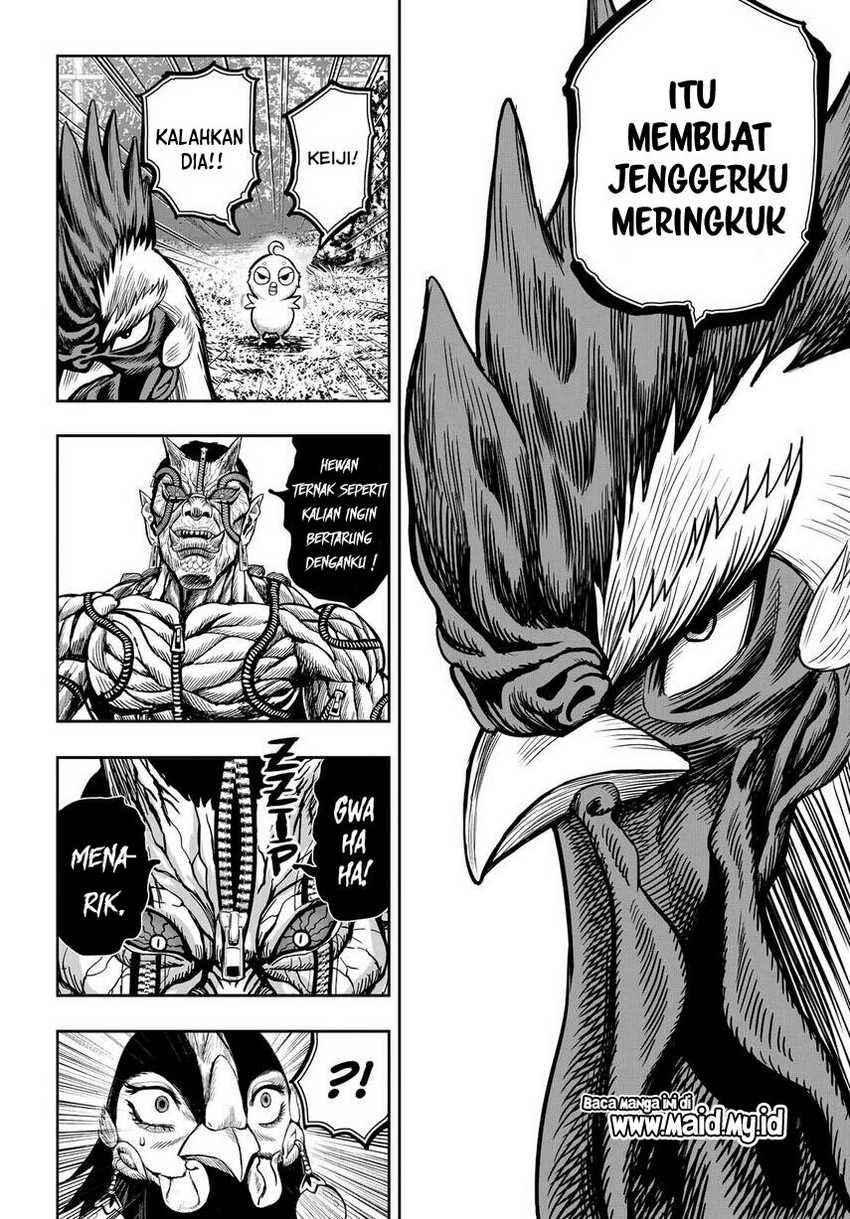Rooster Fighter Bab 10 halaman 18
