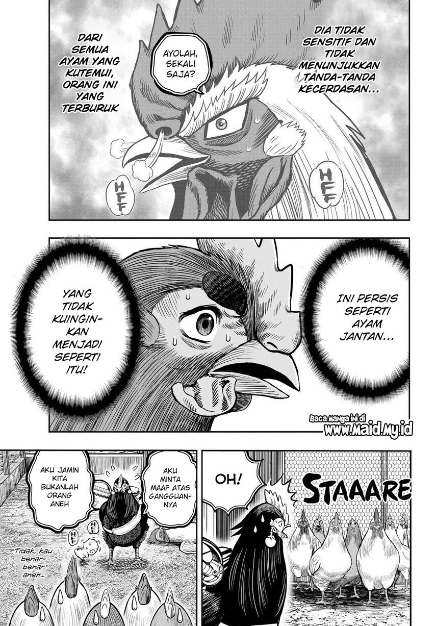 Rooster Fighter chapter 11 halaman 13