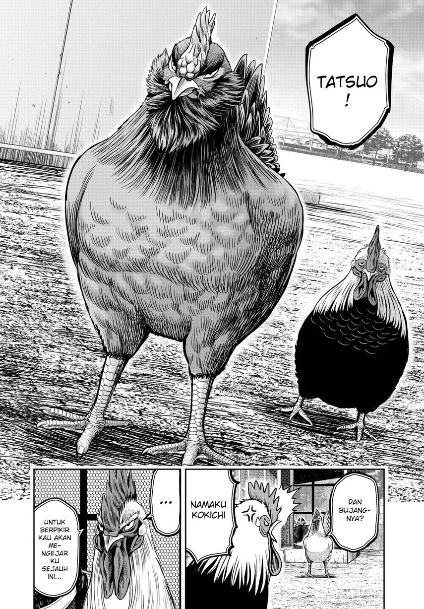 Rooster Fighter chapter 11 halaman 16