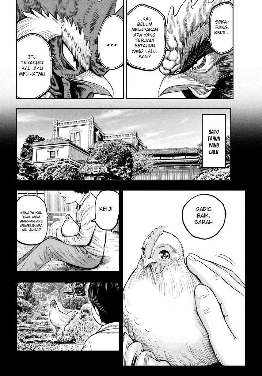 Rooster Fighter chapter 11 halaman 18