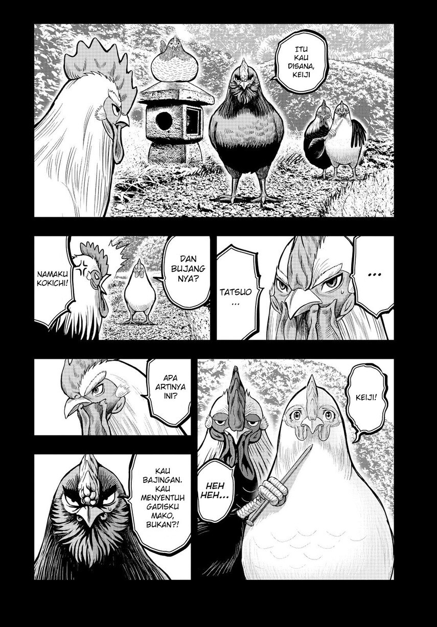 Rooster Fighter chapter 11 halaman 20