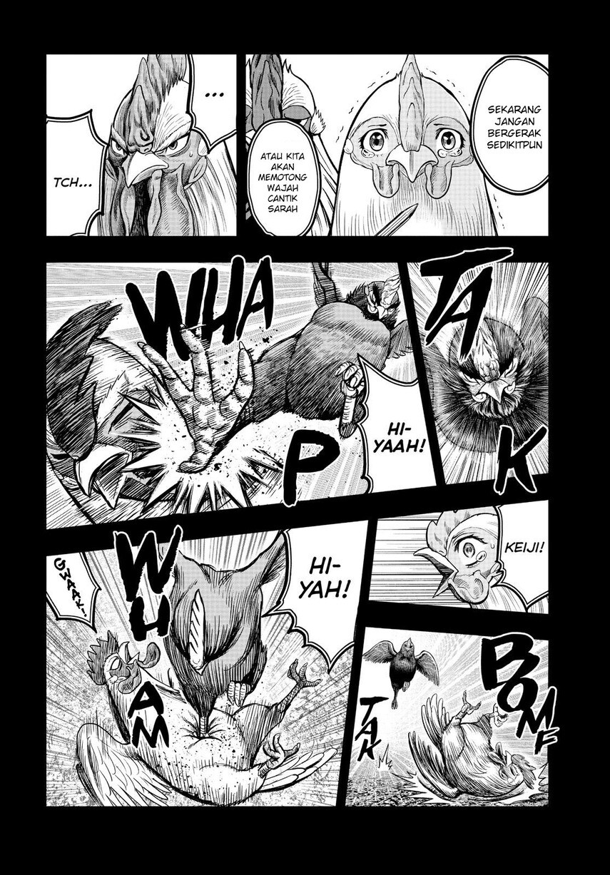 Rooster Fighter chapter 11 halaman 22