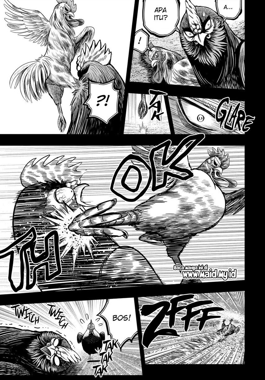 Rooster Fighter chapter 11 halaman 25