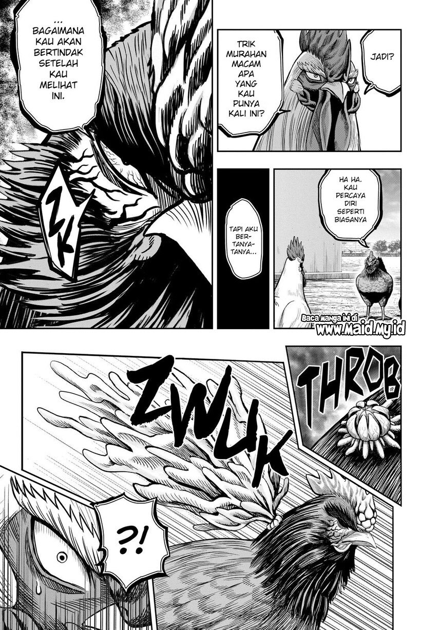 Rooster Fighter chapter 11 halaman 27