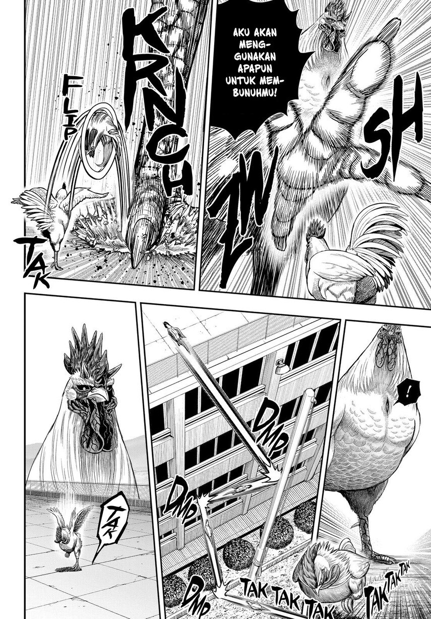 Rooster Fighter chapter 11 halaman 33