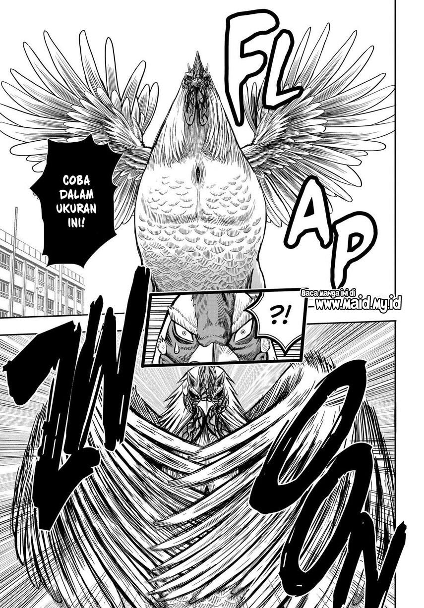 Rooster Fighter chapter 11 halaman 38