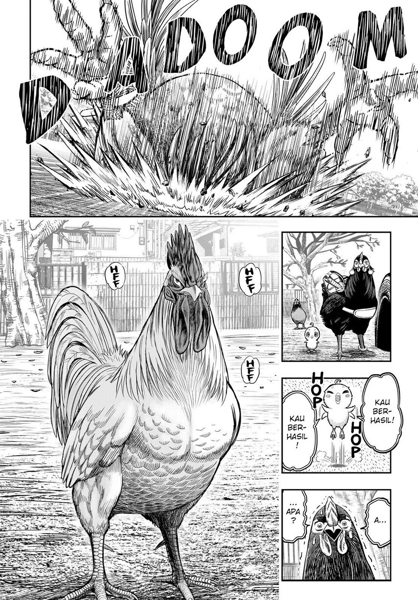 Rooster Fighter chapter 11 halaman 46