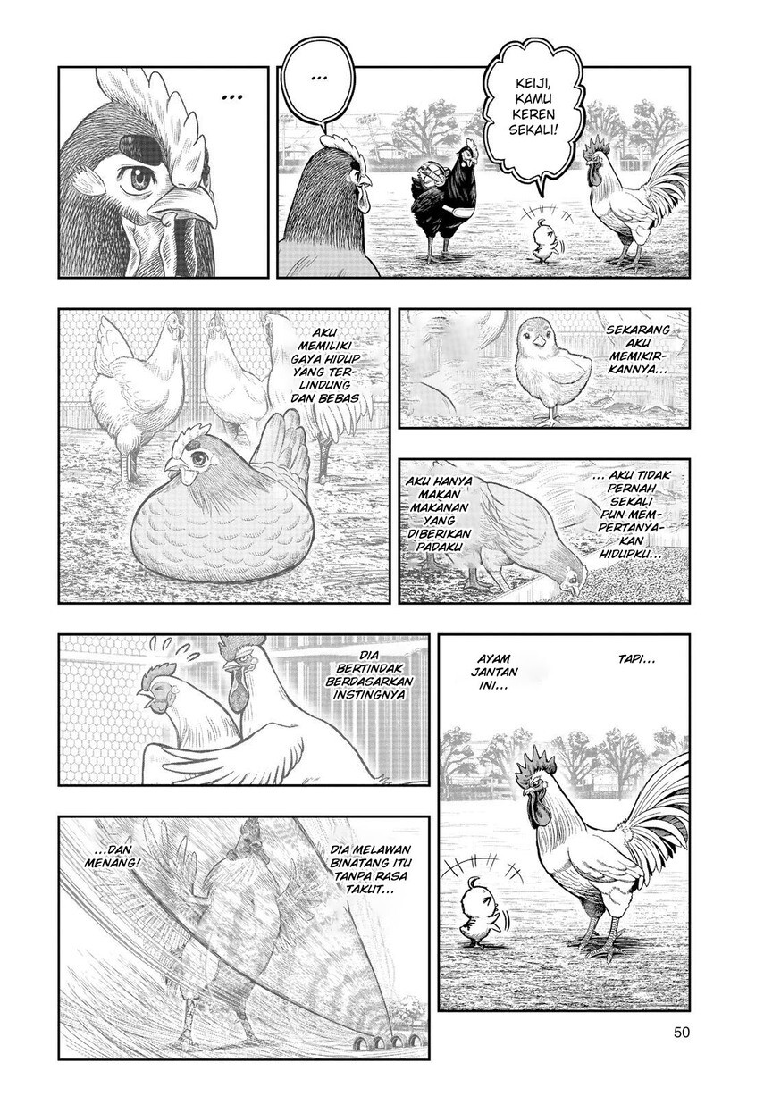 Rooster Fighter chapter 11 halaman 48