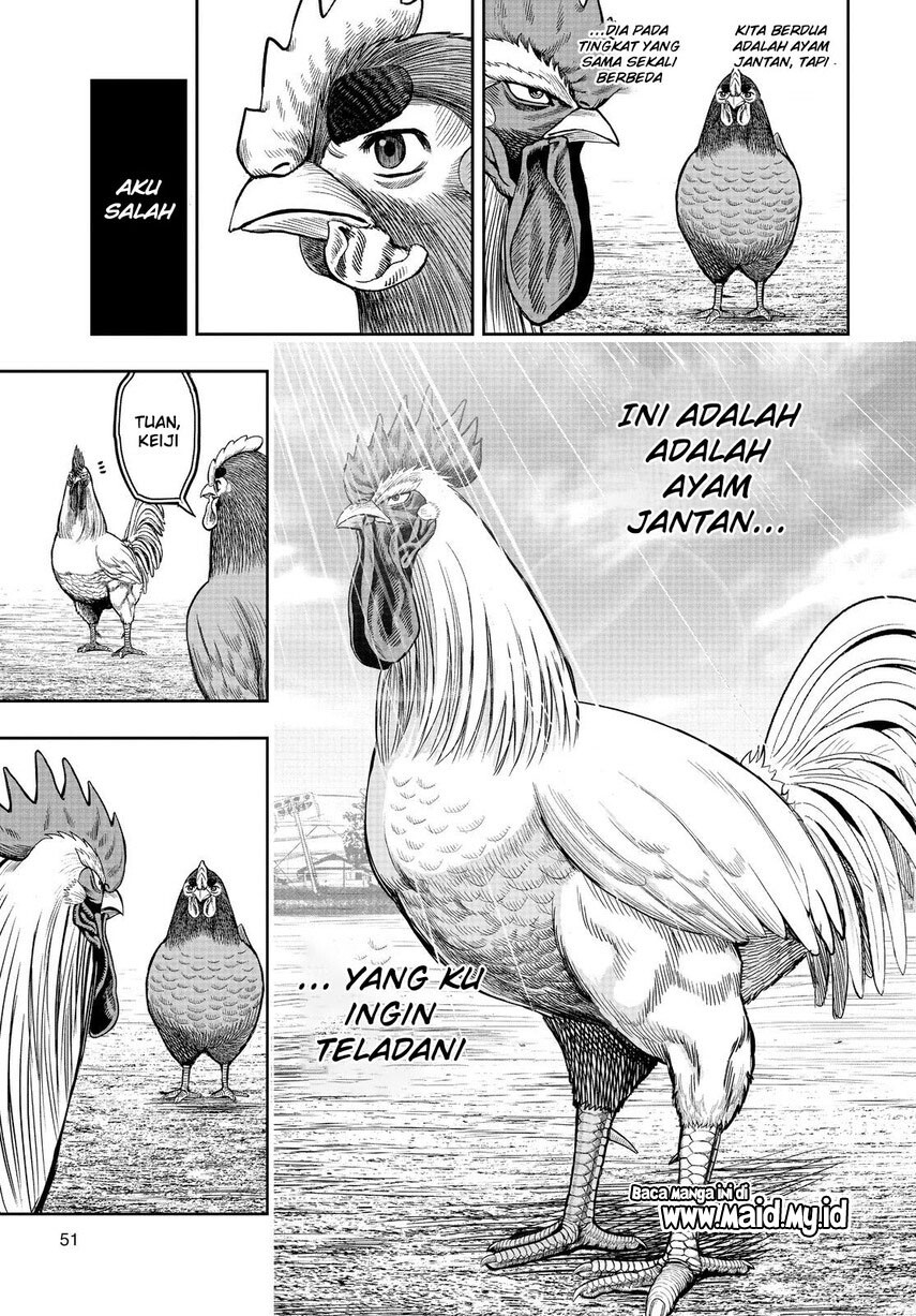 Rooster Fighter chapter 11 halaman 49