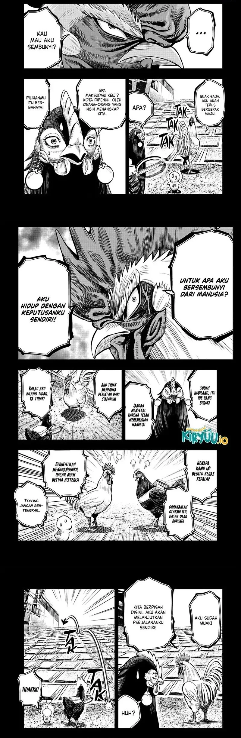Rooster Fighter Bab 12 halaman 3