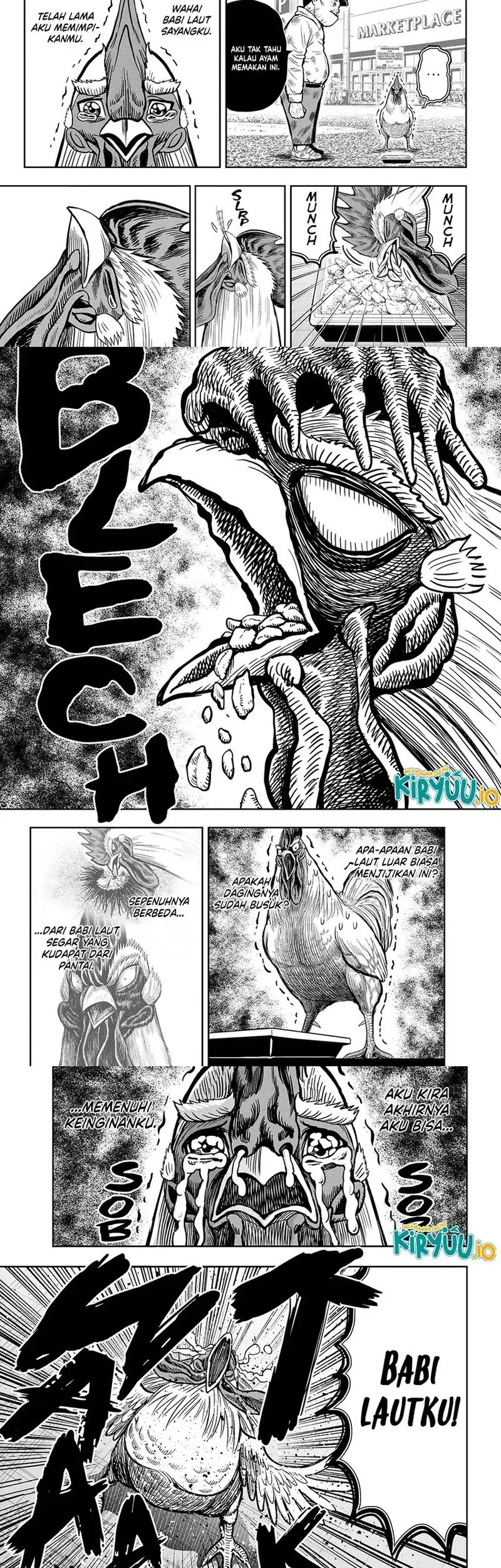 Rooster Fighter Bab 12 halaman 9