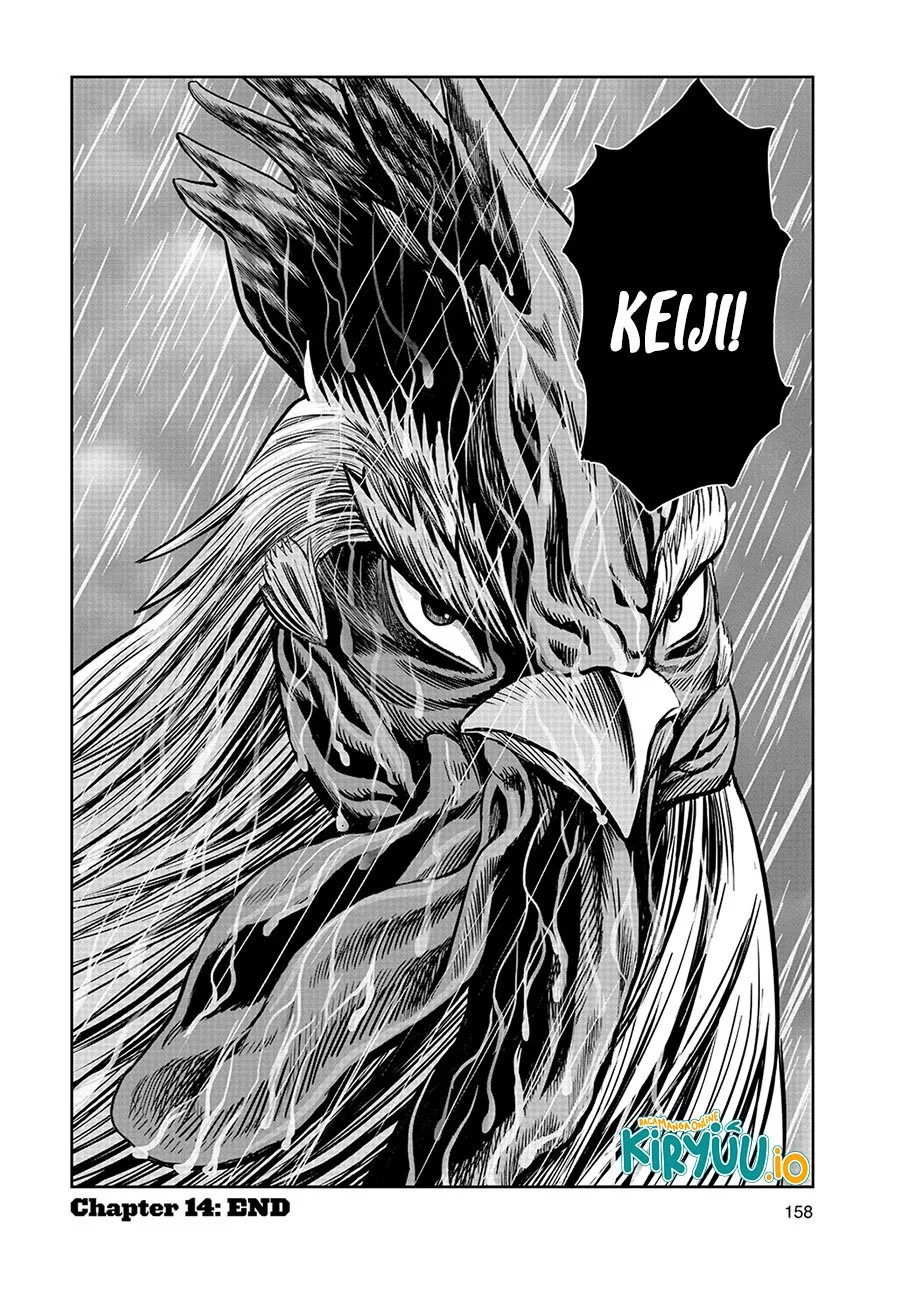 Rooster Fighter Bab 14 halaman 33