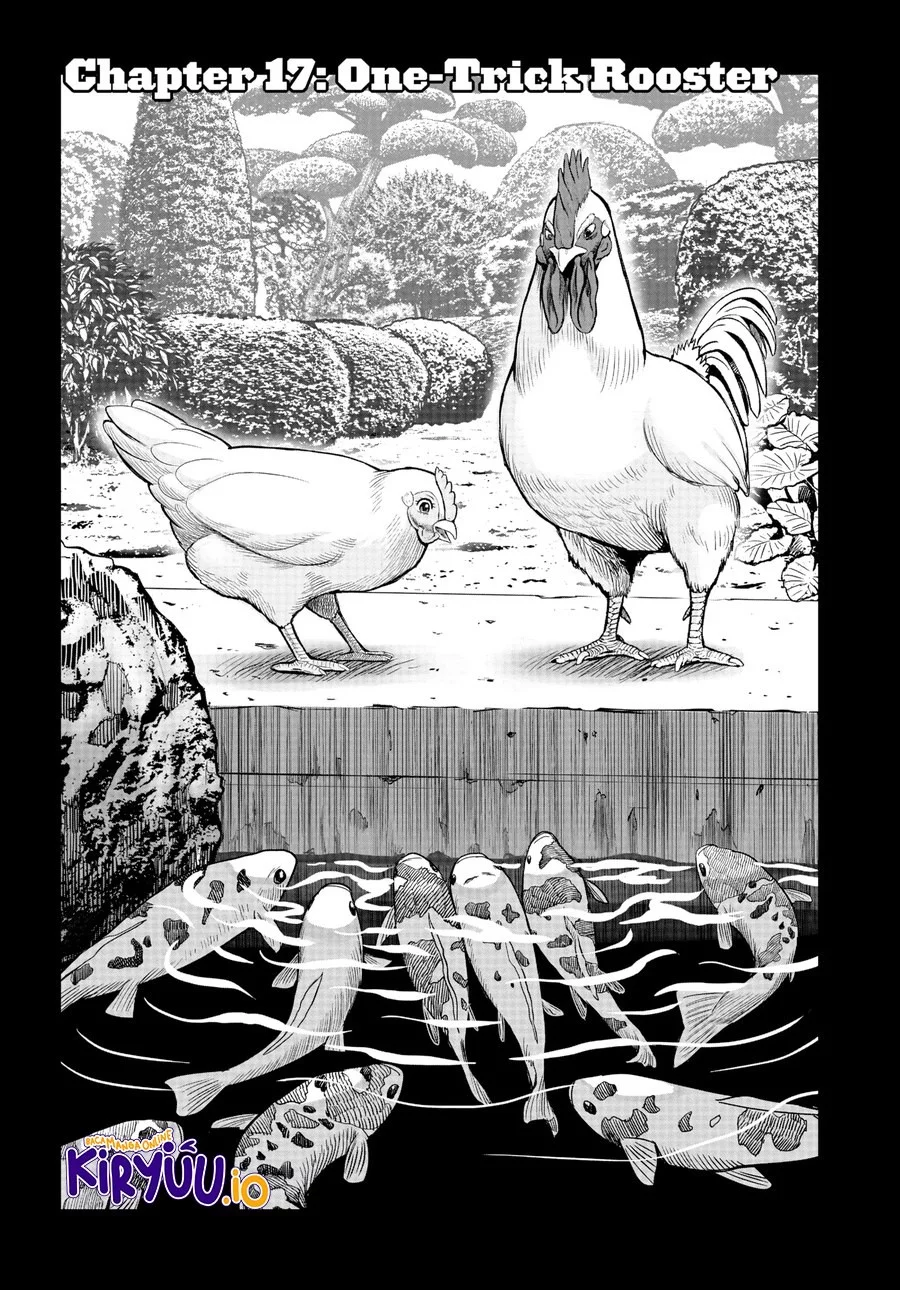 Rooster Fighter Bab 17 halaman 2