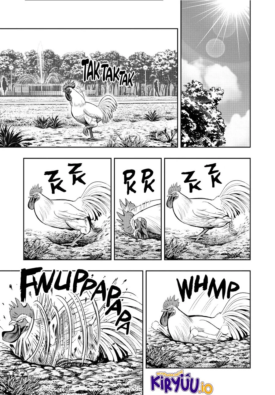 Rooster Fighter Bab 17 halaman 12