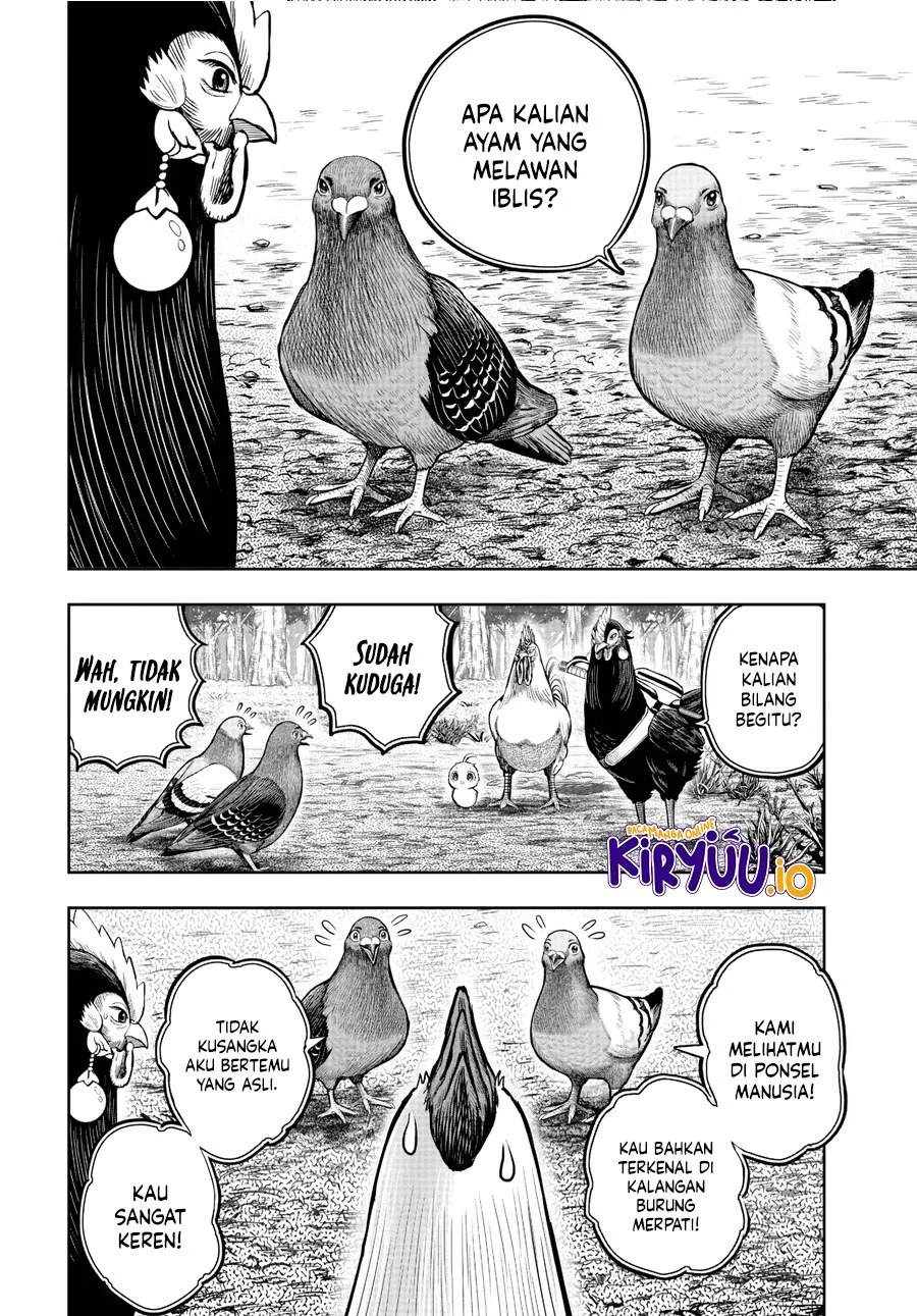 Rooster Fighter Bab 17 halaman 15