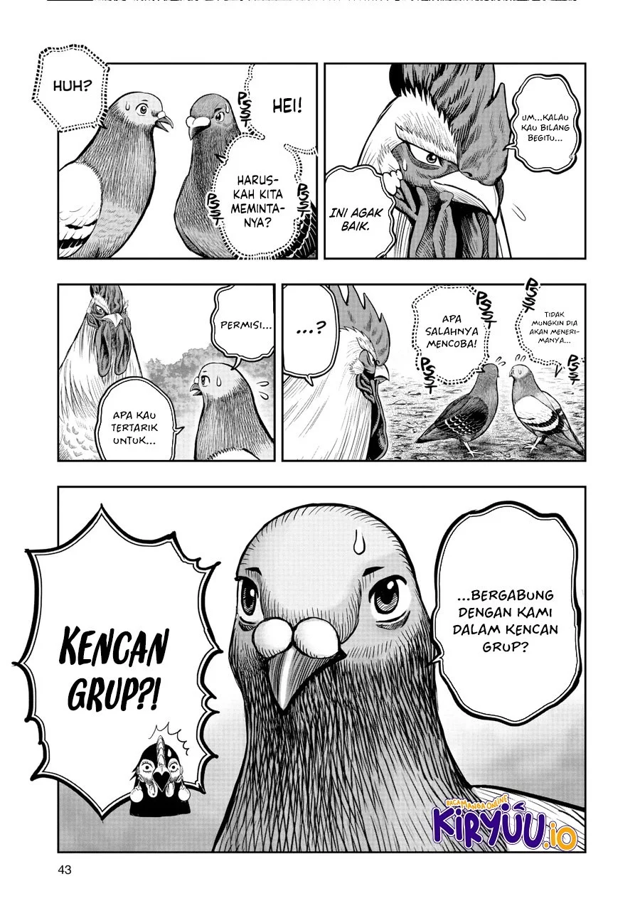Rooster Fighter Bab 17 halaman 16