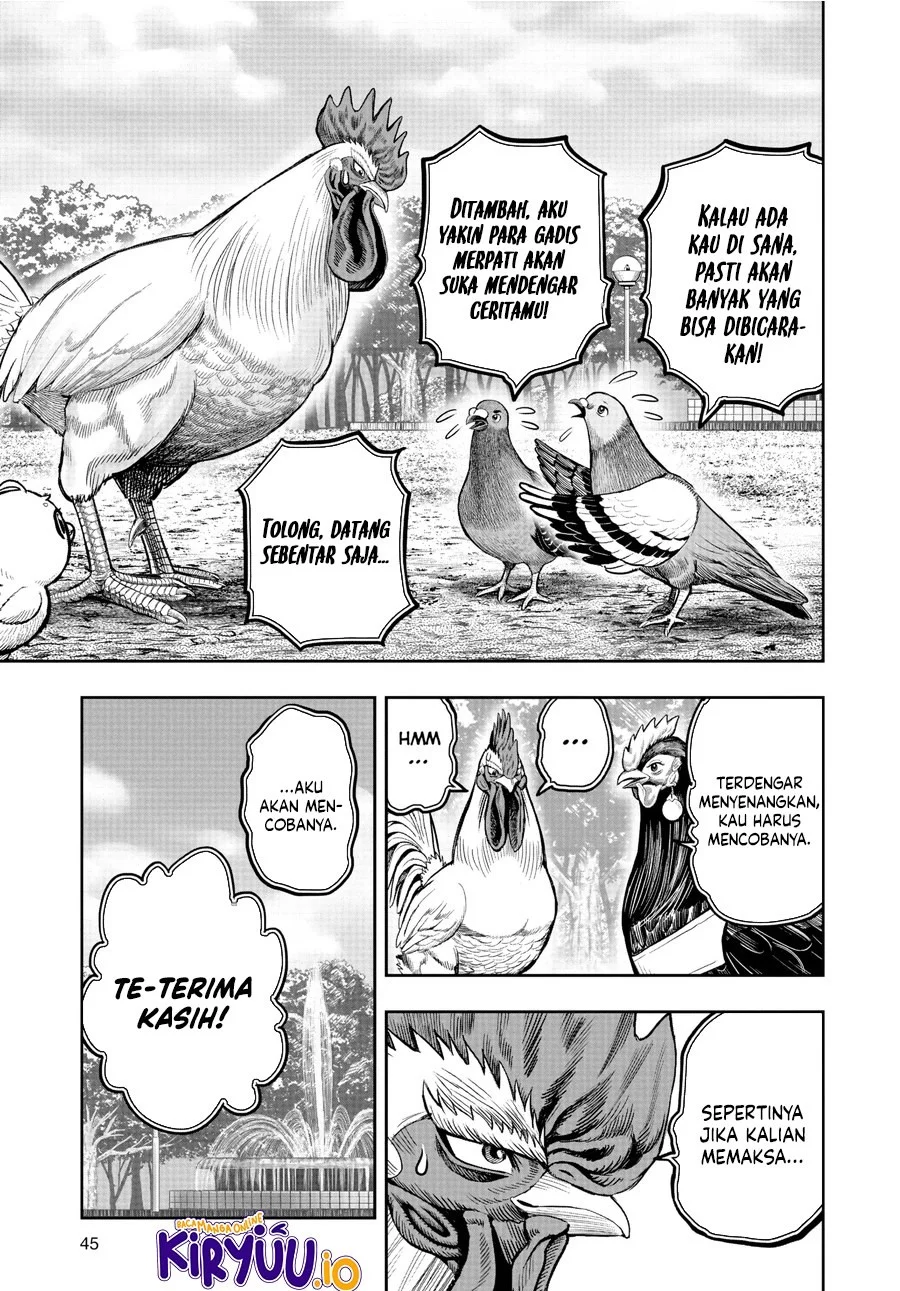 Rooster Fighter Bab 17 halaman 18