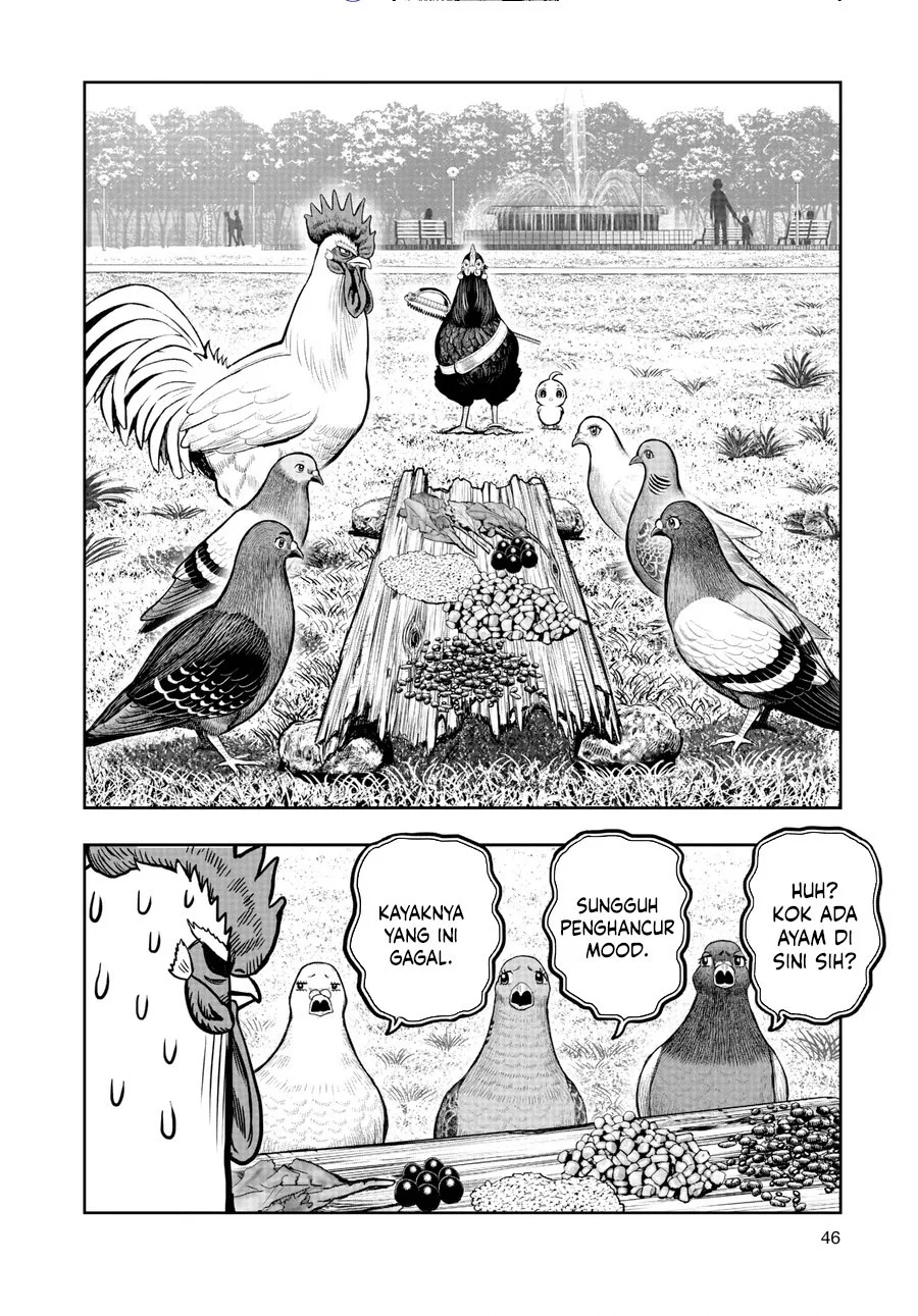 Rooster Fighter Bab 17 halaman 19