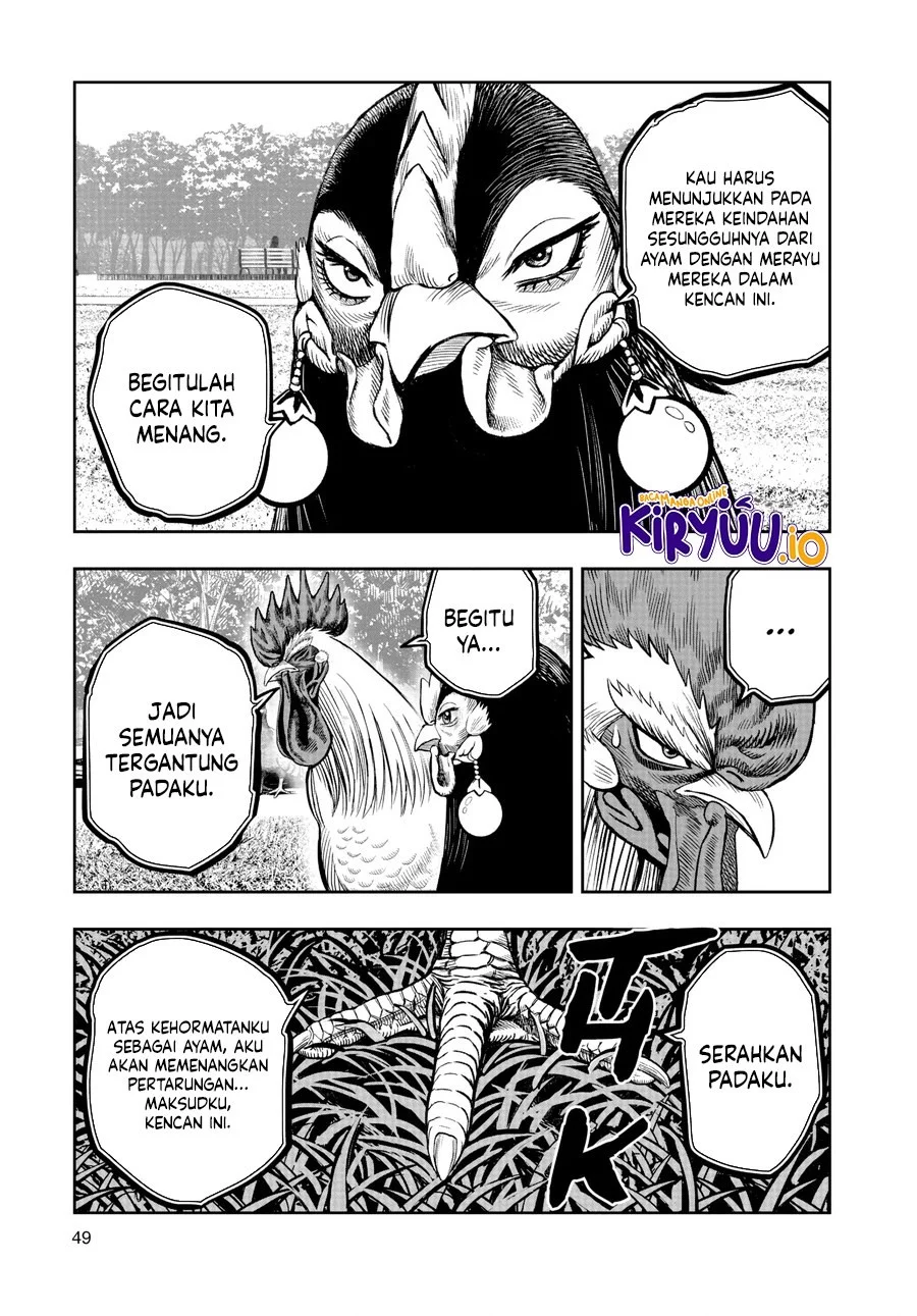Rooster Fighter Bab 17 halaman 22