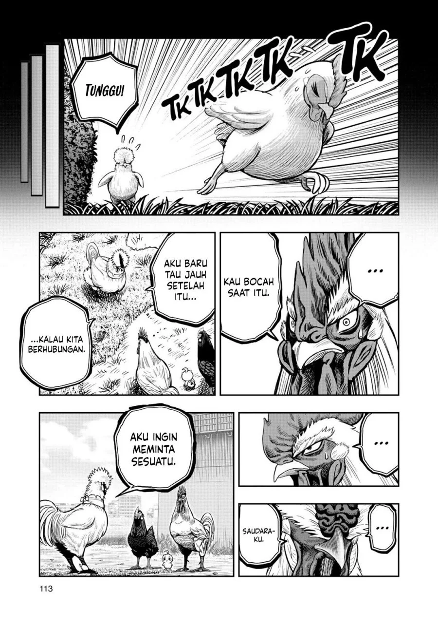 Rooster Fighter Bab 19 halaman 16