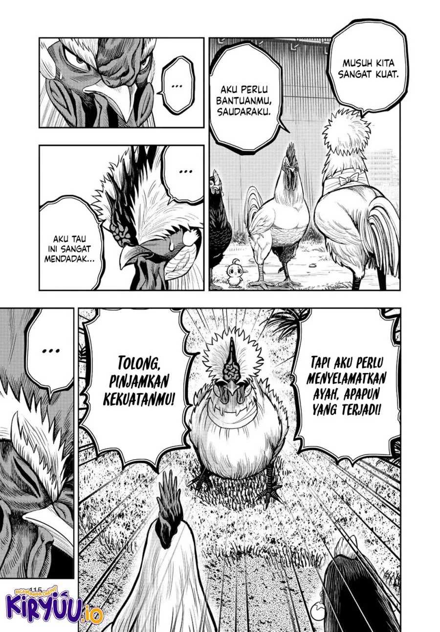 Rooster Fighter Bab 19 halaman 18
