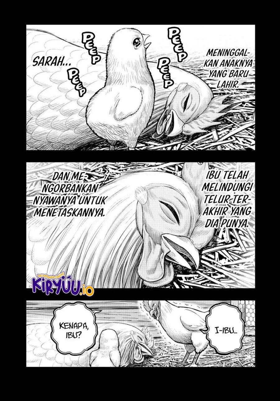 Rooster Fighter Bab 19 halaman 22