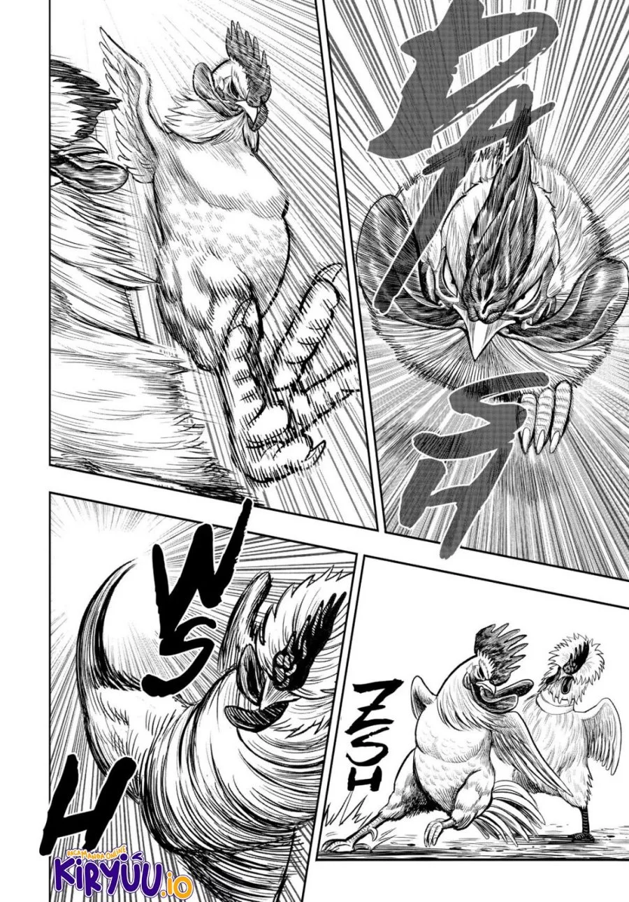 Rooster Fighter Bab 19 halaman 29