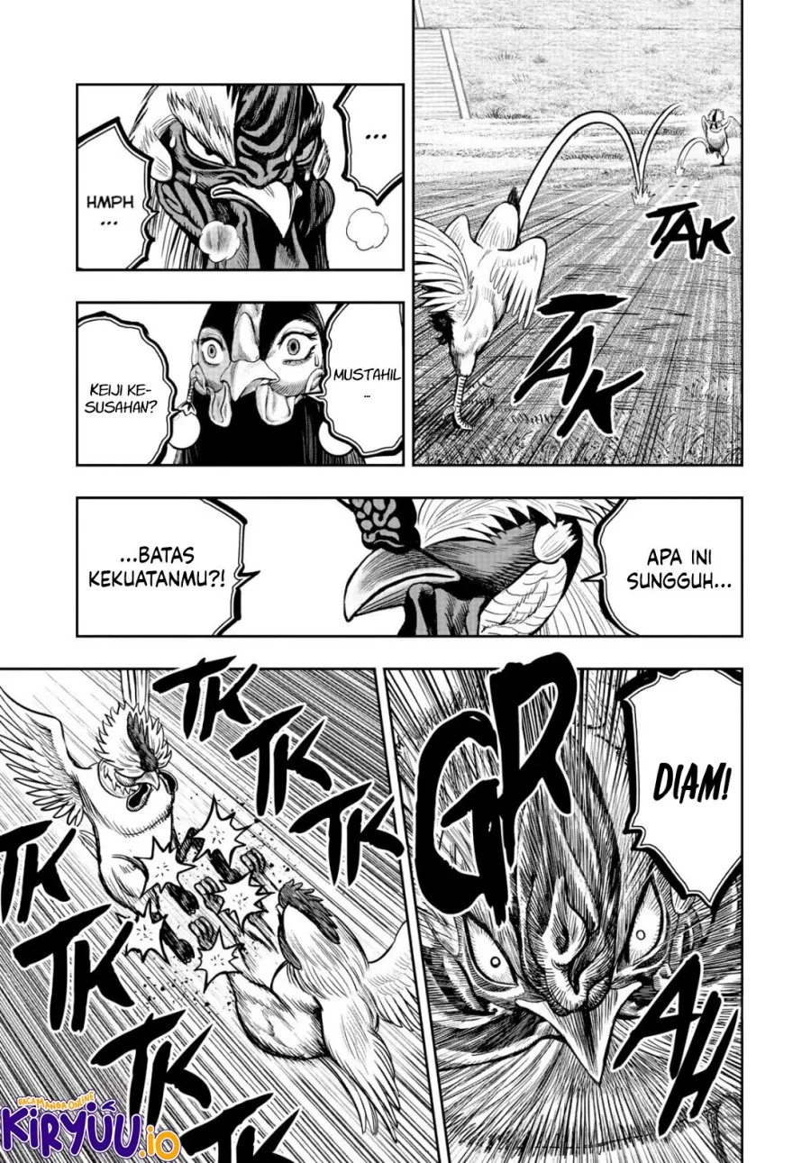 Rooster Fighter Bab 19 halaman 34