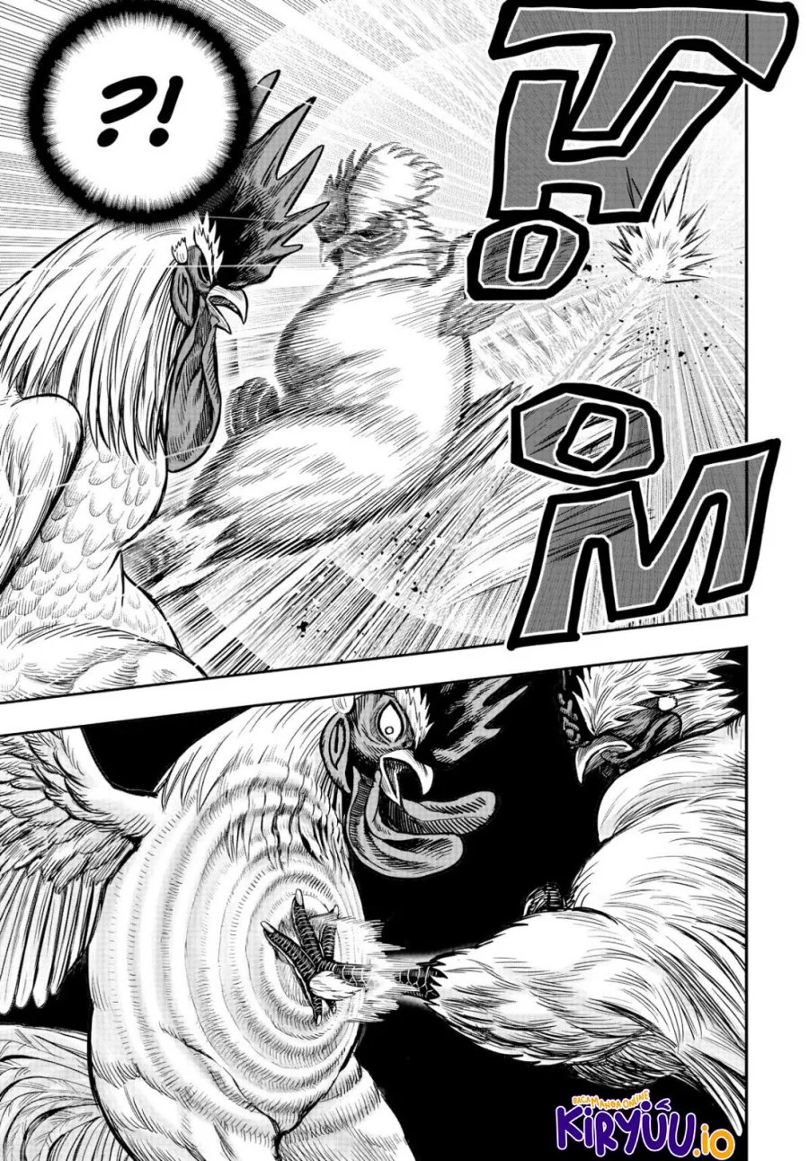 Rooster Fighter Bab 19 halaman 38