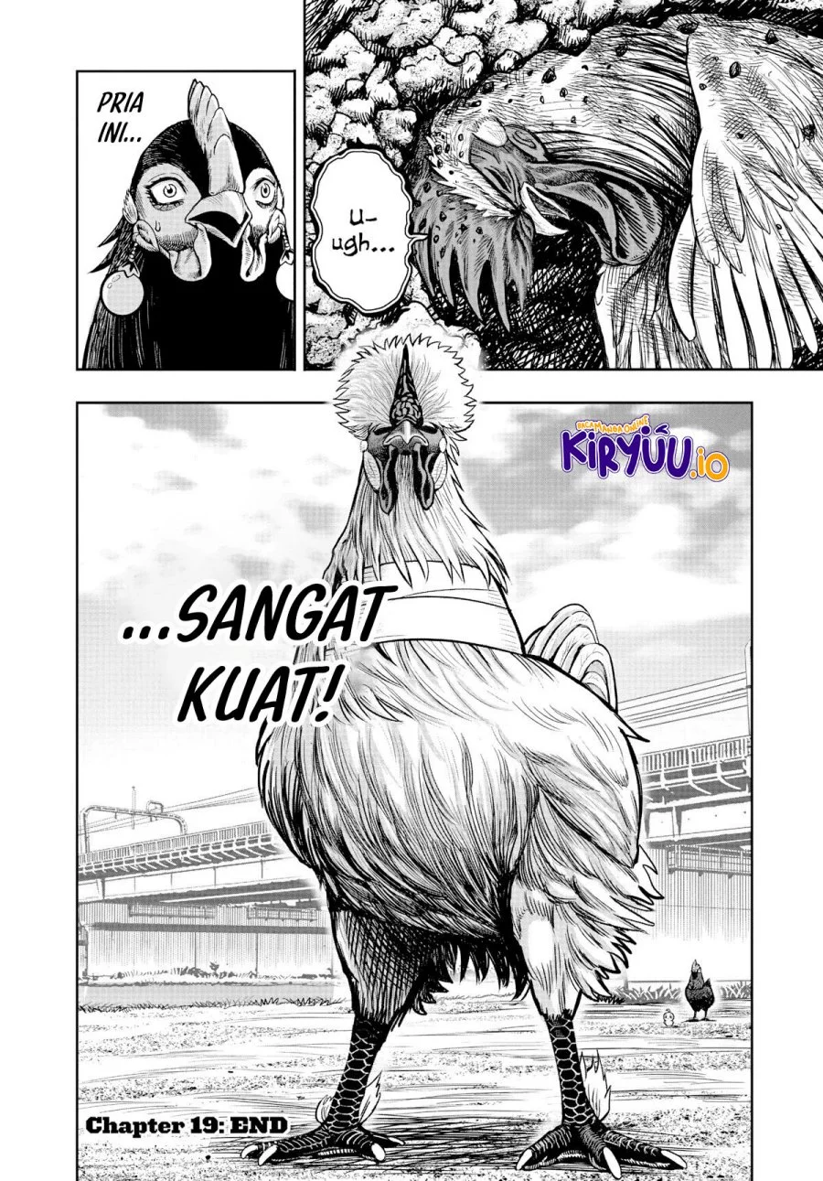 Rooster Fighter Bab 19 halaman 41