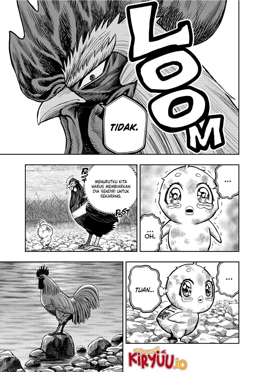 Rooster Fighter Bab 20 halaman 8
