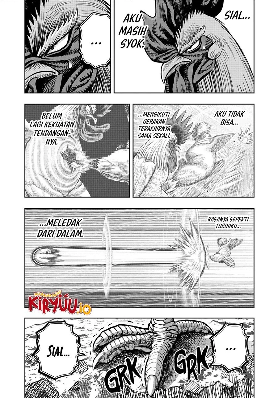 Rooster Fighter Bab 20 halaman 9