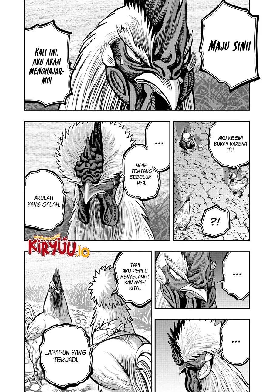 Rooster Fighter Bab 20 halaman 11