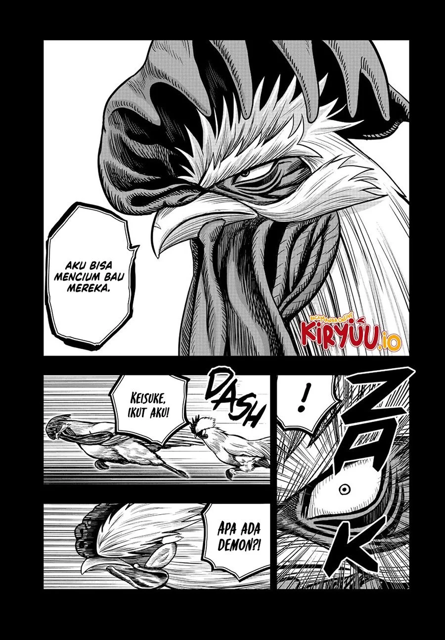 Rooster Fighter Bab 20 halaman 17