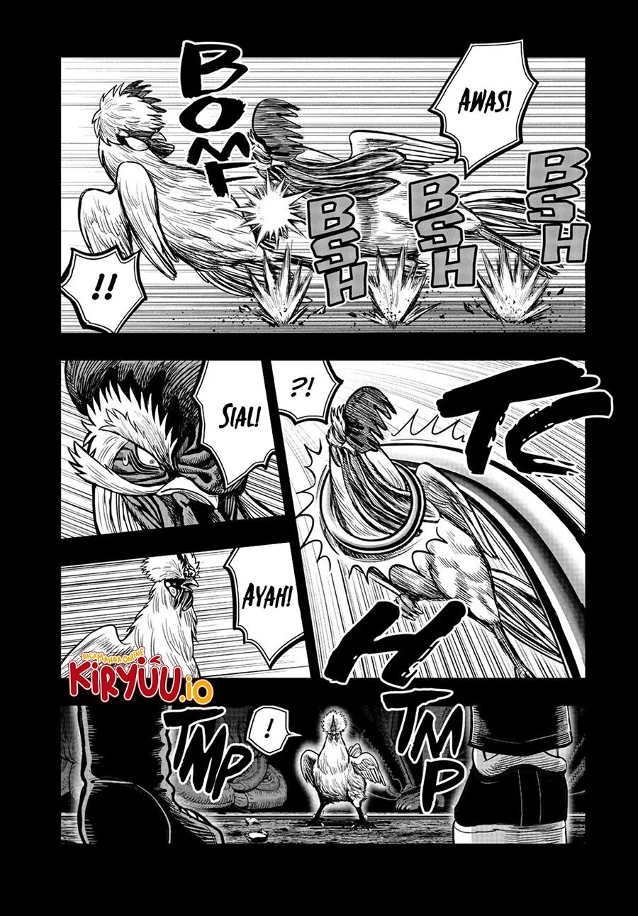 Rooster Fighter Bab 20 halaman 29
