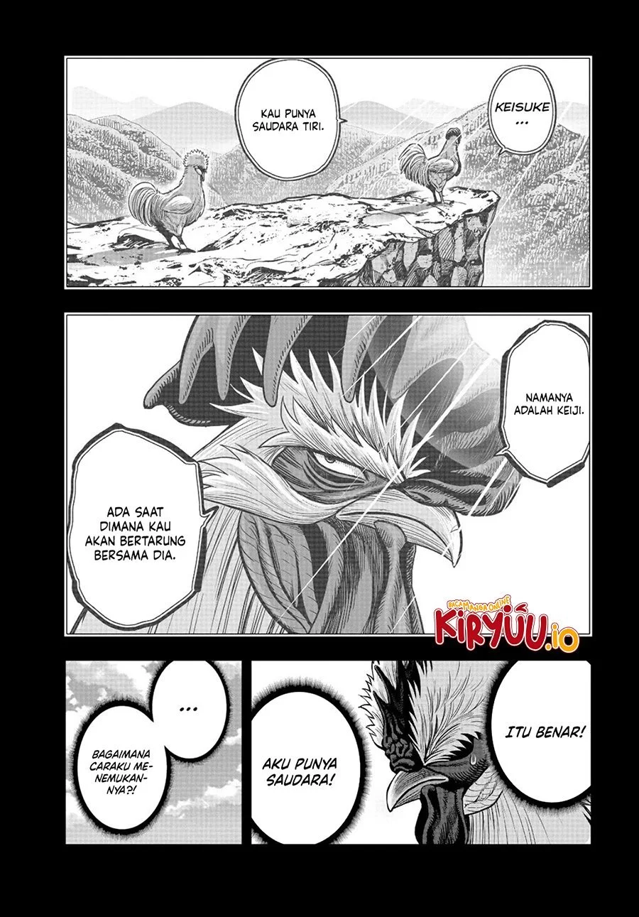 Rooster Fighter Bab 20 halaman 43