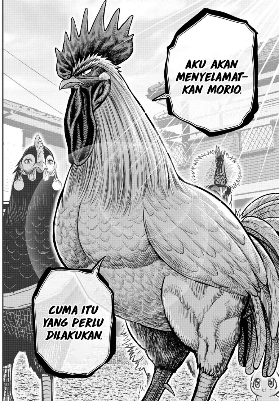 Rooster Fighter Bab 21 halaman 32