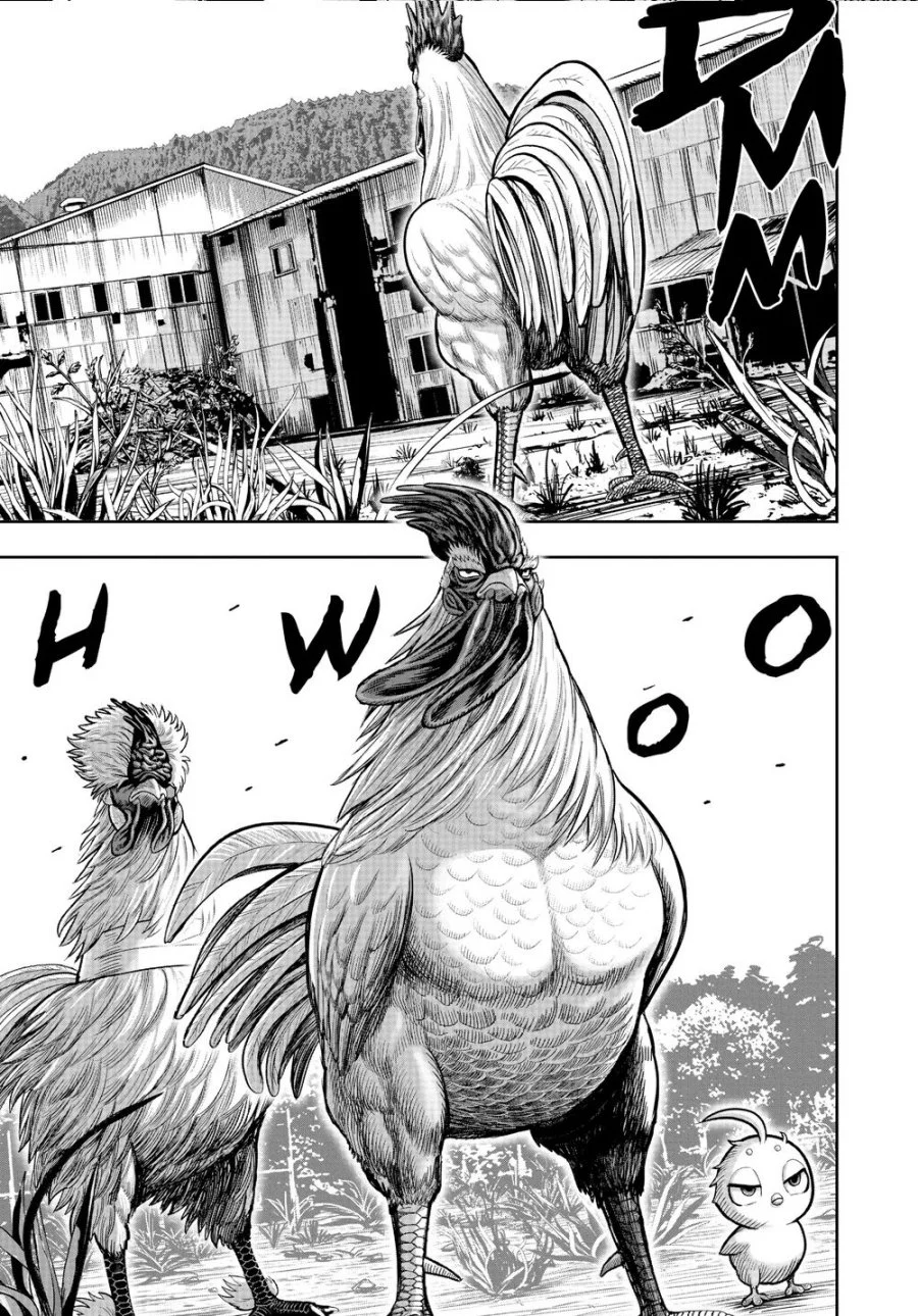 Rooster Fighter Bab 21 halaman 39