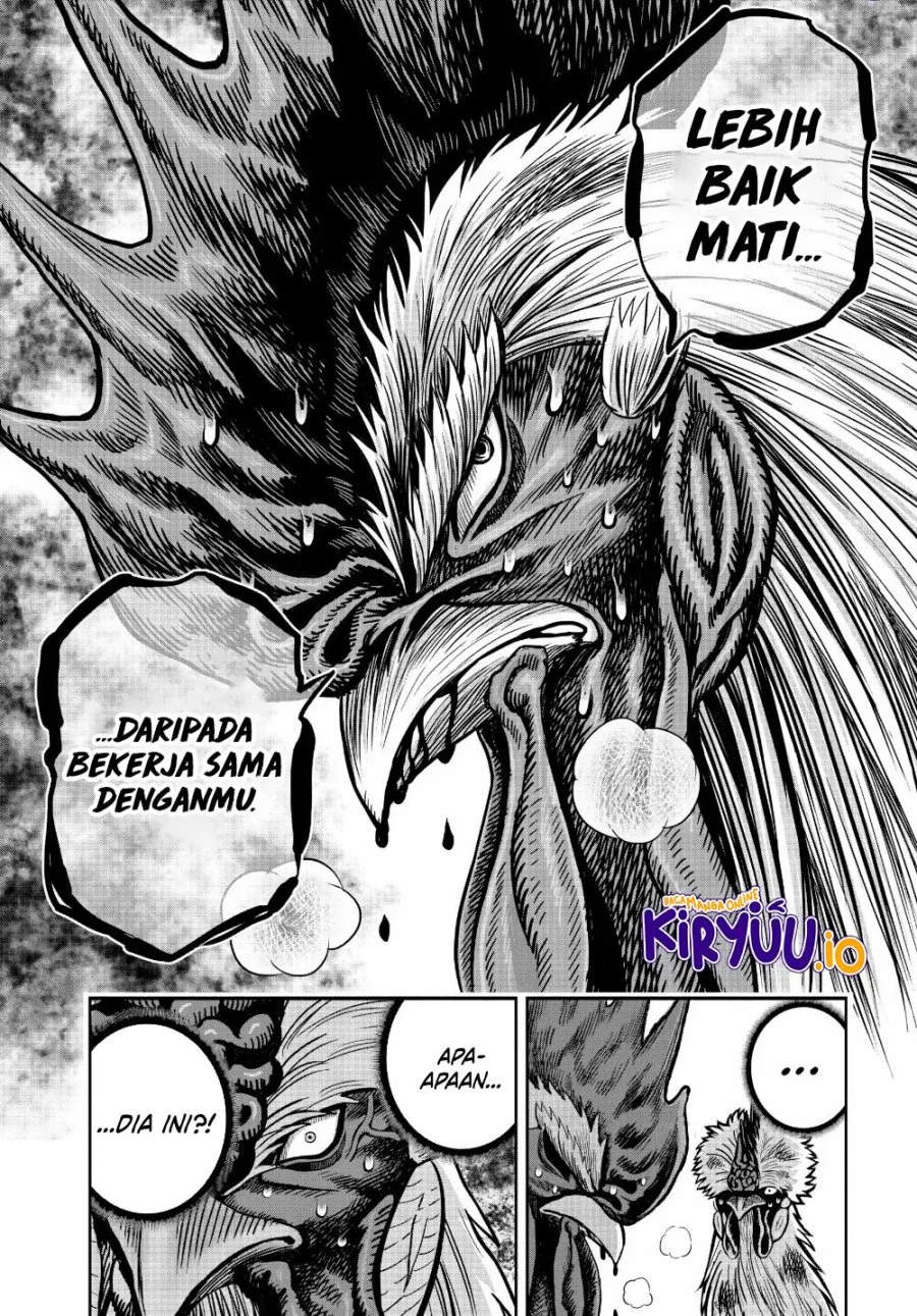 Rooster Fighter chapter 24 halaman 33