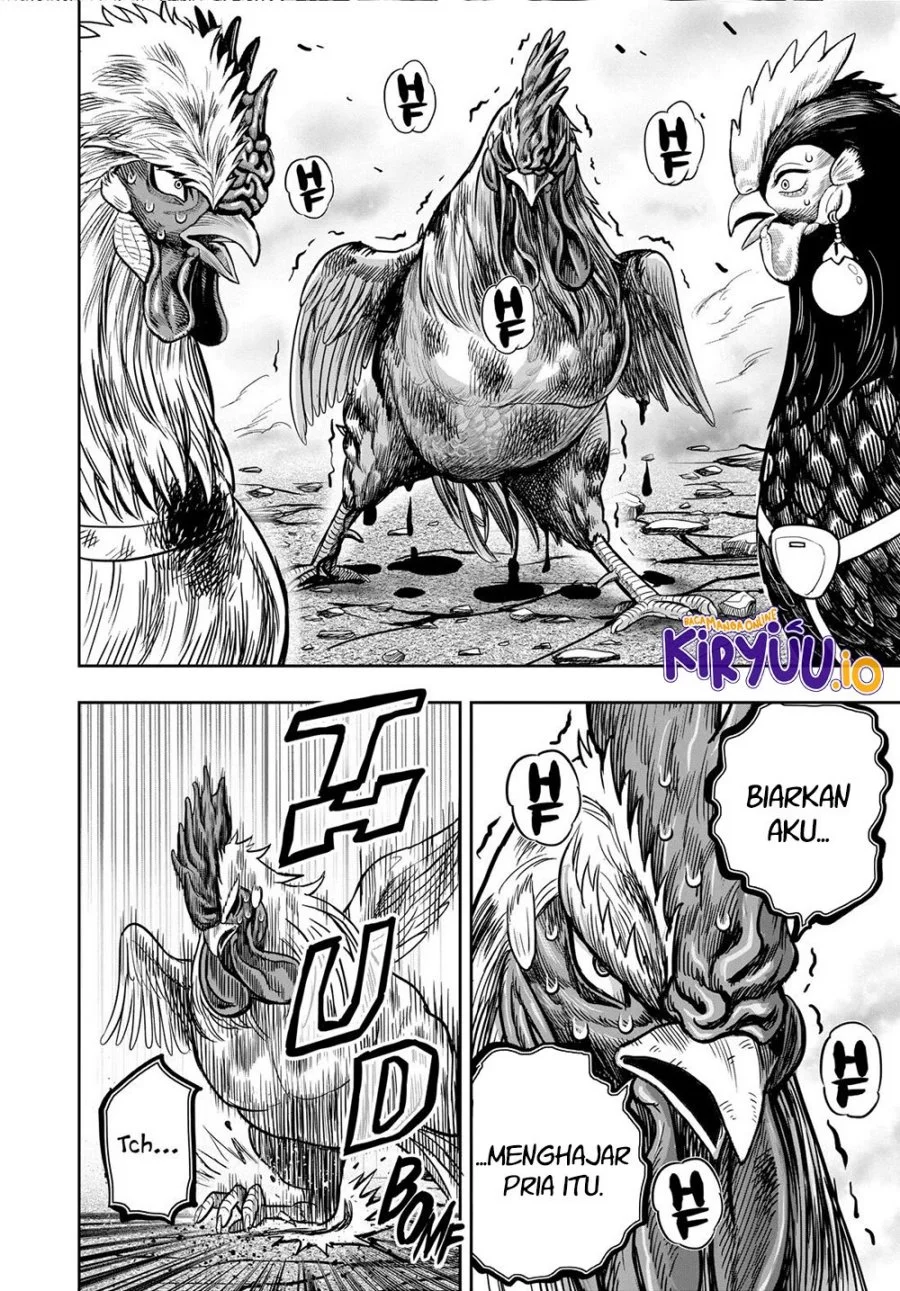 Rooster Fighter Bab 26 halaman 9