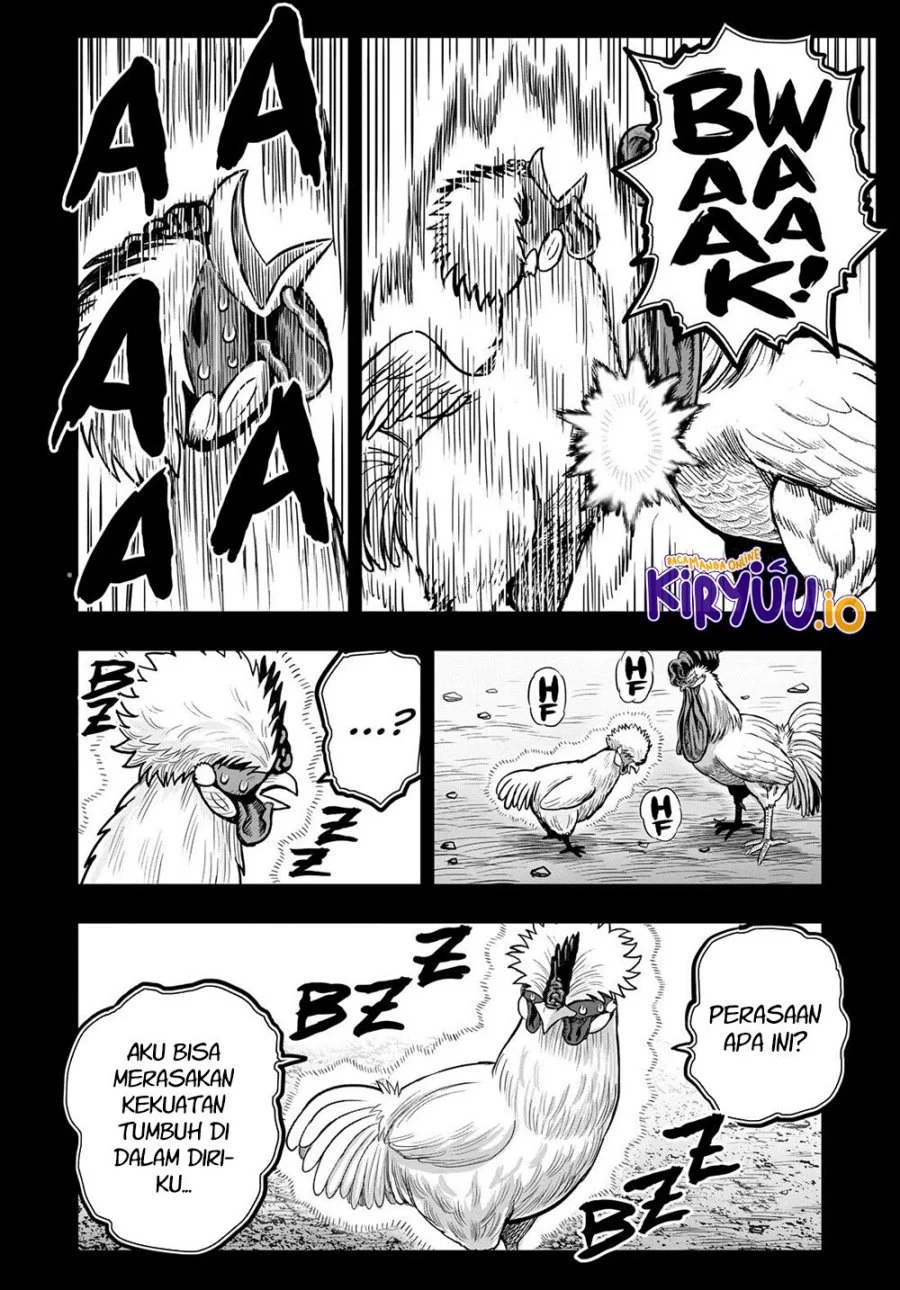 Rooster Fighter Bab 26 halaman 25