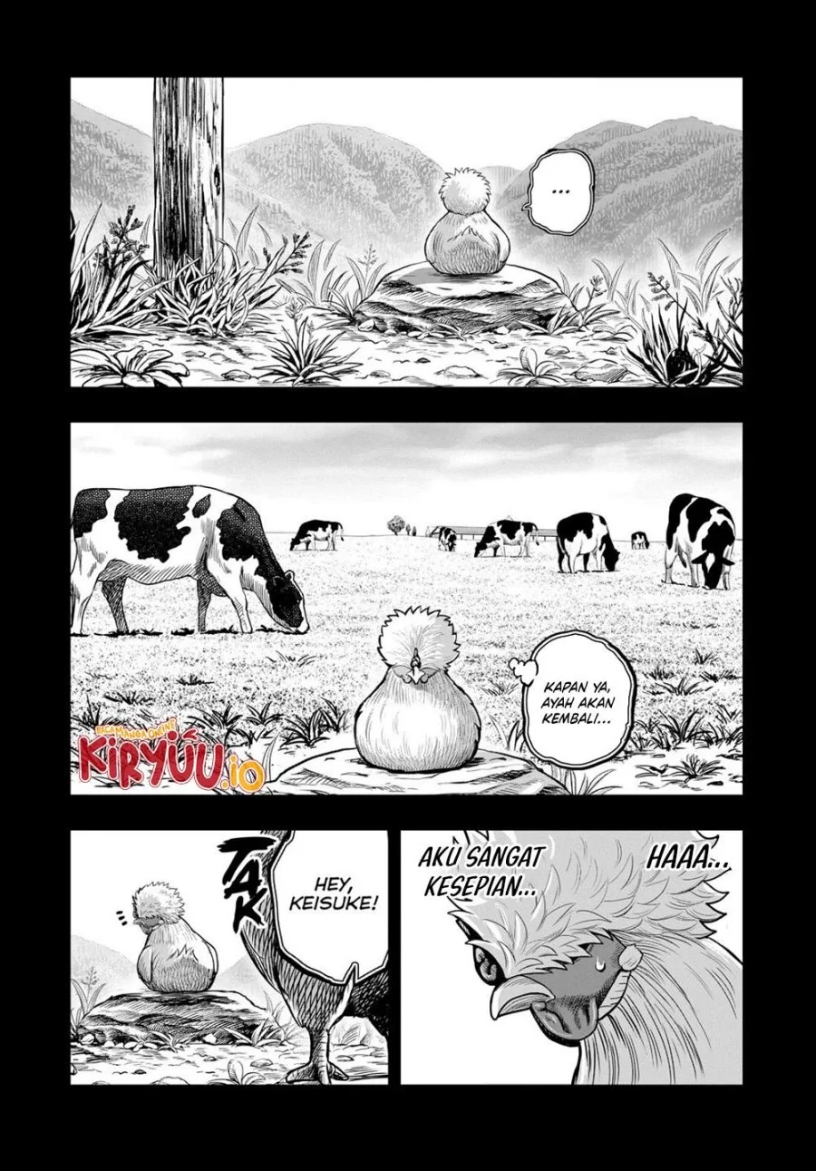 Rooster Fighter Bab 27 halaman 3