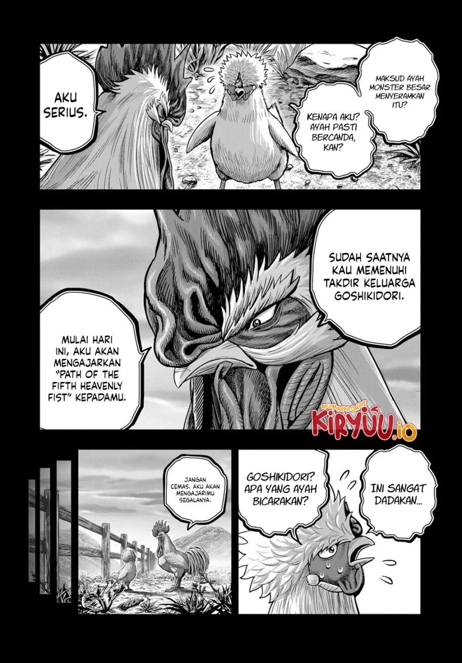 Rooster Fighter Bab 27 halaman 11